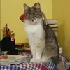 Отзыв от Софья Кожевникова